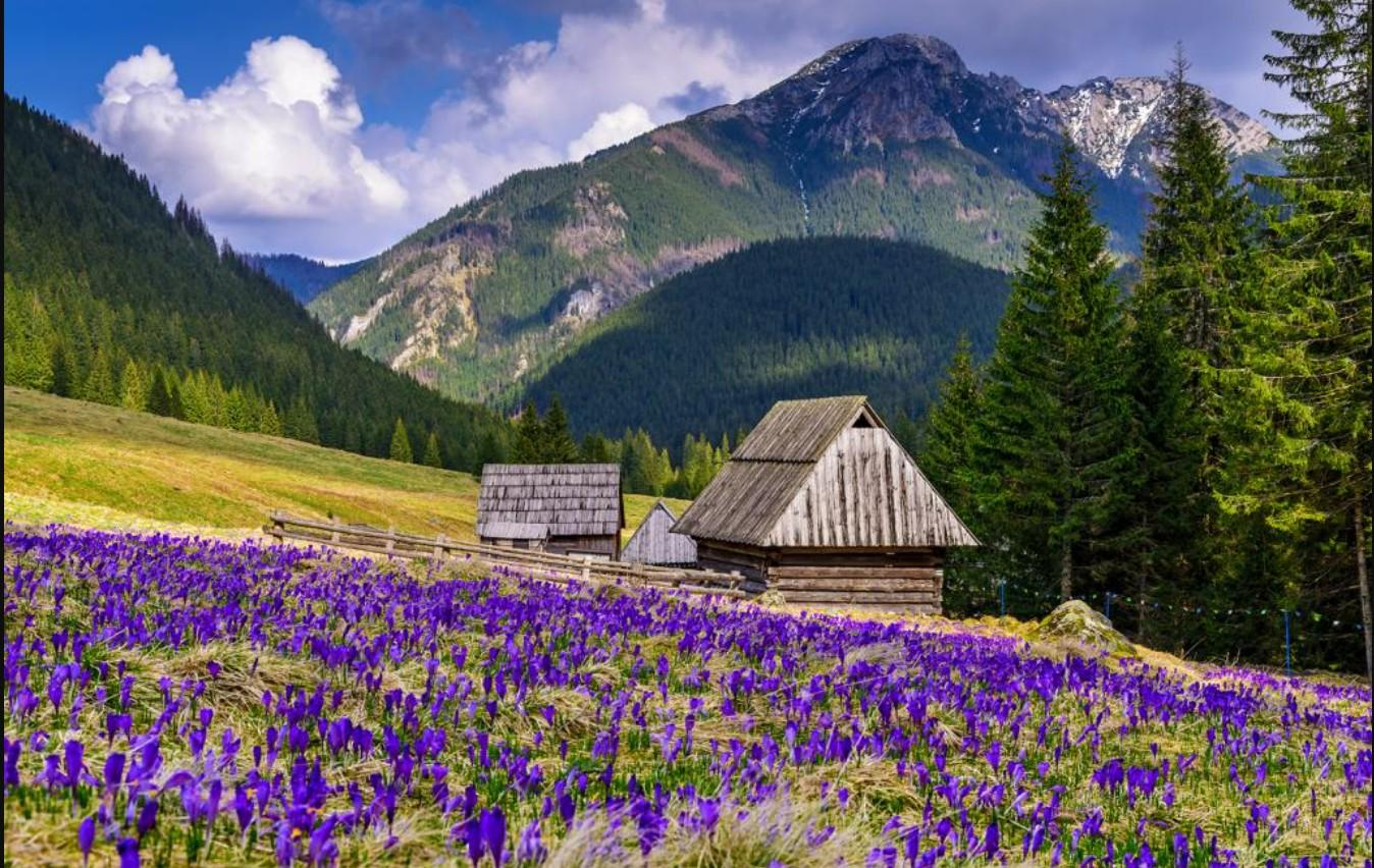 Parking - Dolina Chochołowska – Siwa Polana | Parking u Szymka