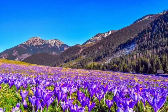 Parking - Parking Marin