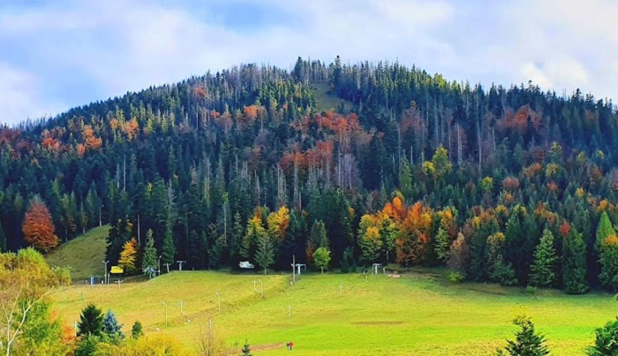 Parking - Zakopane Droga Oswalda Balzera - Kużnice  - Kasprowy Wierch